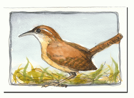 Bird-2-watercolour